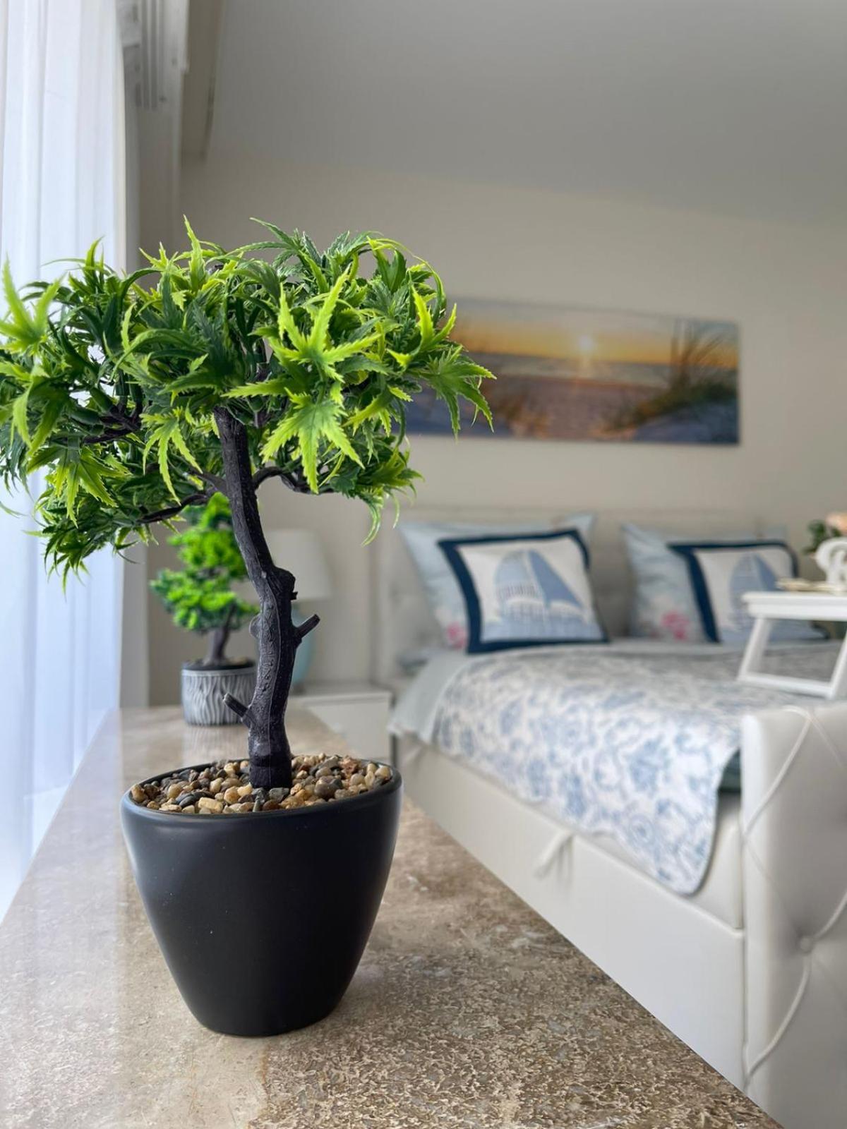 Ferienwohnung Strandoase Inklusive Terrasse Und Parkplatz - Sonnenseite 샬베우츠 외부 사진