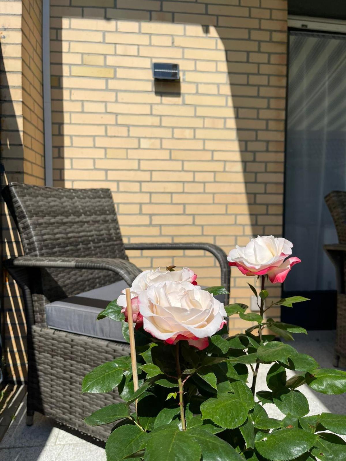 Ferienwohnung Strandoase Inklusive Terrasse Und Parkplatz - Sonnenseite 샬베우츠 외부 사진